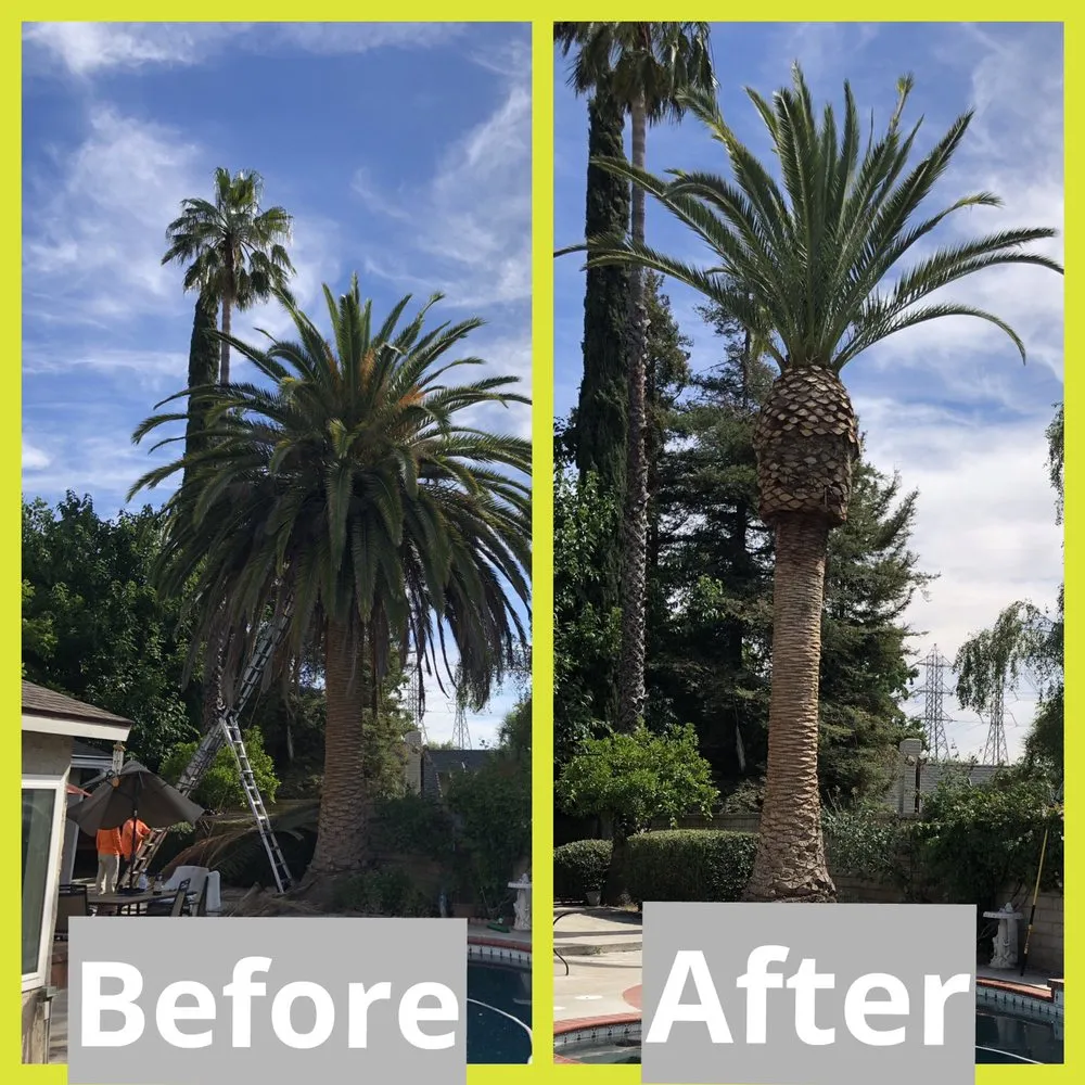 Trusted landscape installation in Santa Clarita, CA by Erik's Tree Service & Brush Clearance