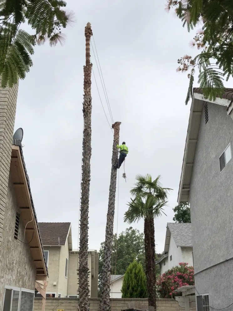 Affordable landscape installation in Santa Clarita, CA - Erik's Tree Service & Brush Clearance