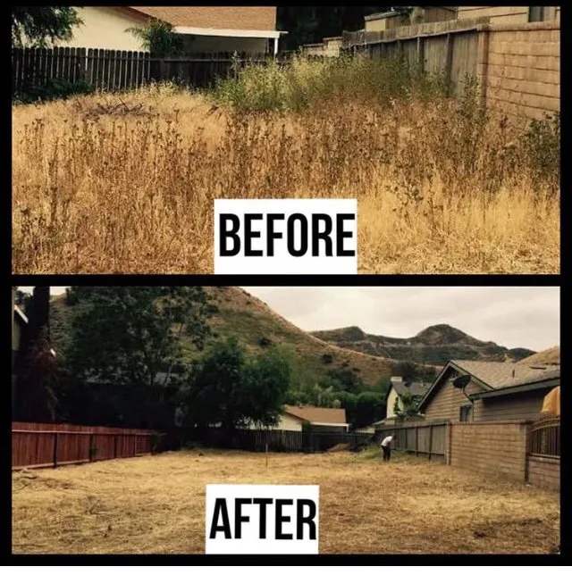 Expert residential landscaping experts serving Santa Clarita, CA - Erik's Tree Service & Brush Clearance