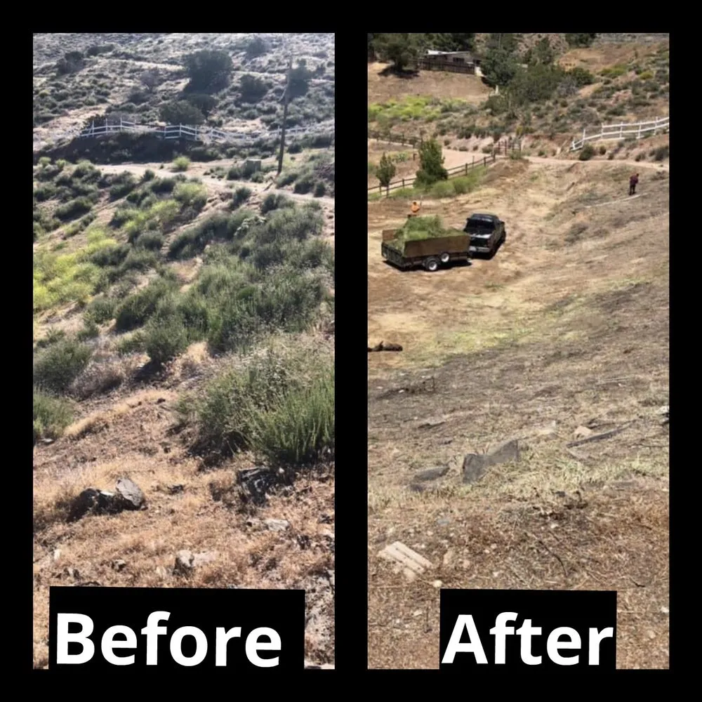 Affordable outdoor landscaping experts serving Santa Clarita, CA - Erik's Tree Service & Brush Clearance