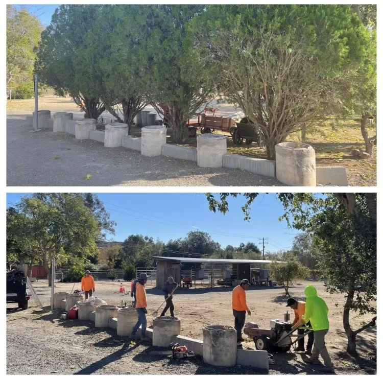 Affordable outdoor landscaping for homes across Santa Clarita, CA - Erik's Tree Service & Brush Clearance