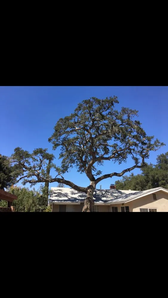 Expert garden landscaping for beautiful yards across Santa Clarita, CA - Erik's Tree Service & Brush Clearance