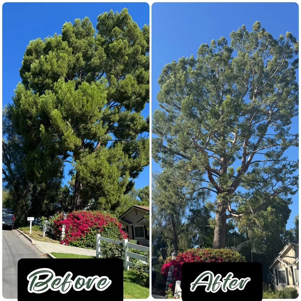 Professional landscaping services experts serving Santa Clarita, CA - Erik's Tree Service & Brush Clearance