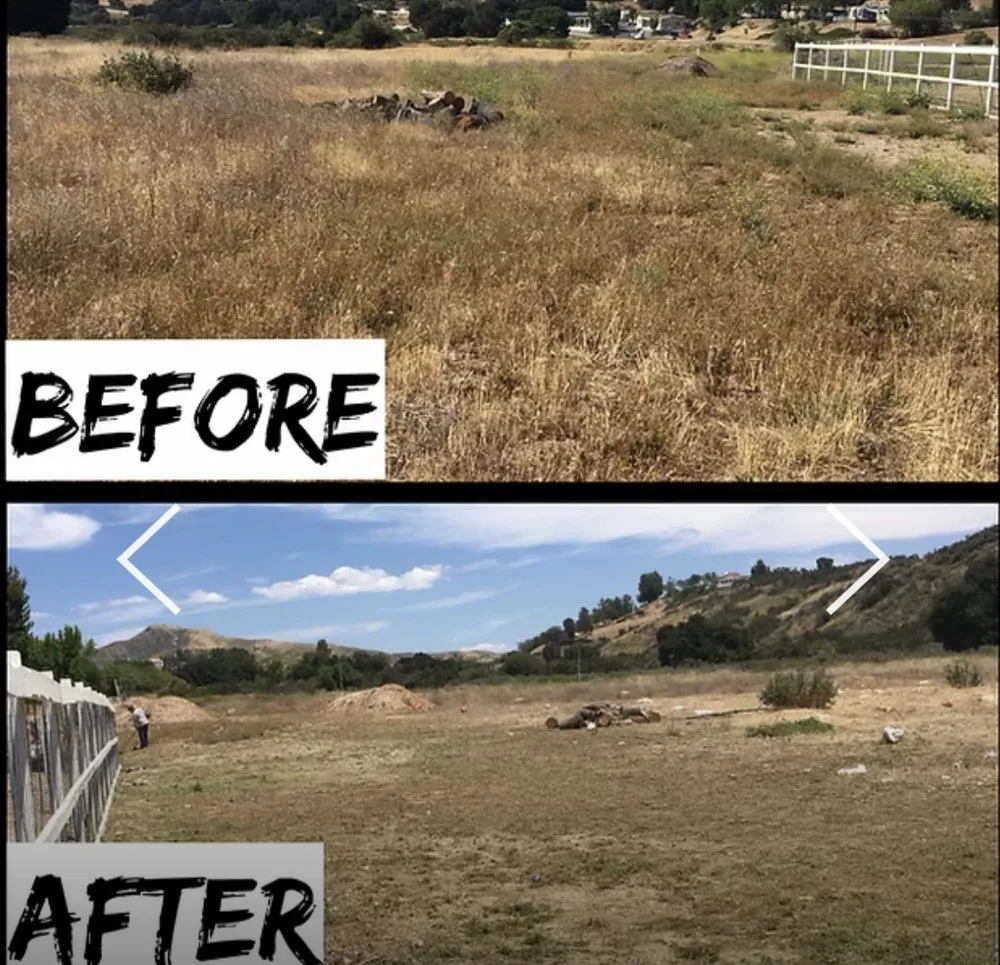 Expert outdoor landscaping for homes in Santa Clarita, CA by Erik's Tree Service & Brush Clearance