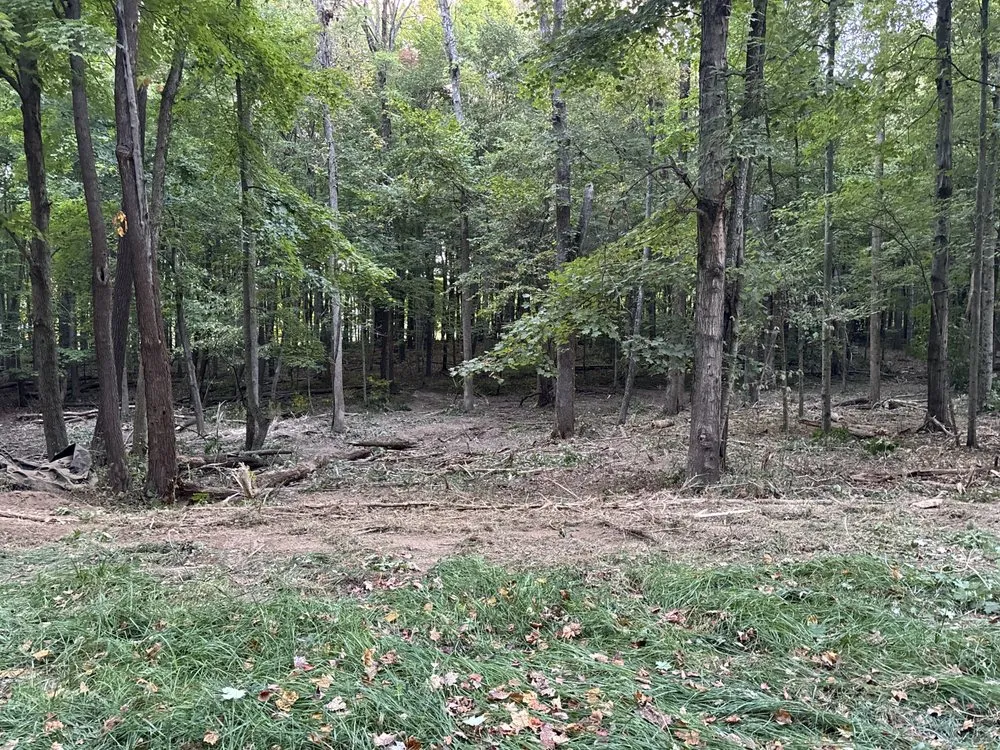 Custom yard cleanup service near you in Greenwood, IN by Erin Go Bragh Landscaping