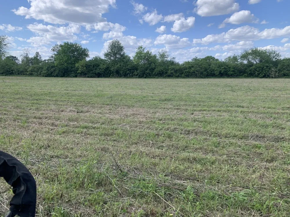 Affordable landscape installation near you in Greenwood, IN by Erin Go Bragh Landscaping