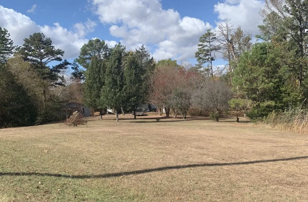 Local yard maintenance for outdoor upgrades across Clifton, TN - Erin’s Lawn Care