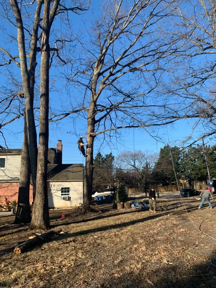 Affordable landscape design for beautiful yards across Stafford, VA - ERL Services