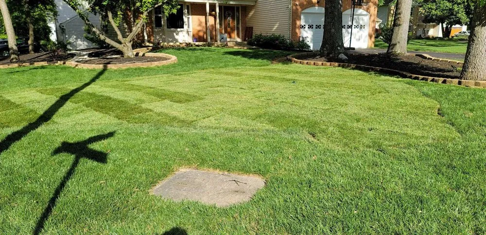 Top-rated lawn care service near you across Stafford, VA - ERL Services