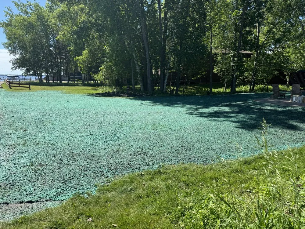 Top-rated landscape design in Brainerd, MN - Erlandson Hydroscapes