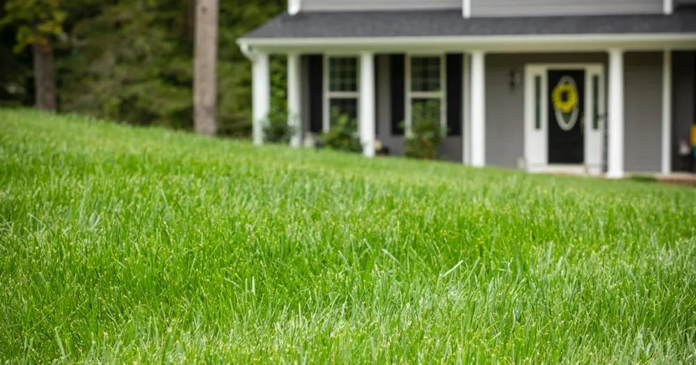 Affordable yard maintenance experts serving Brainerd, MN - Erlandson Hydroscapes