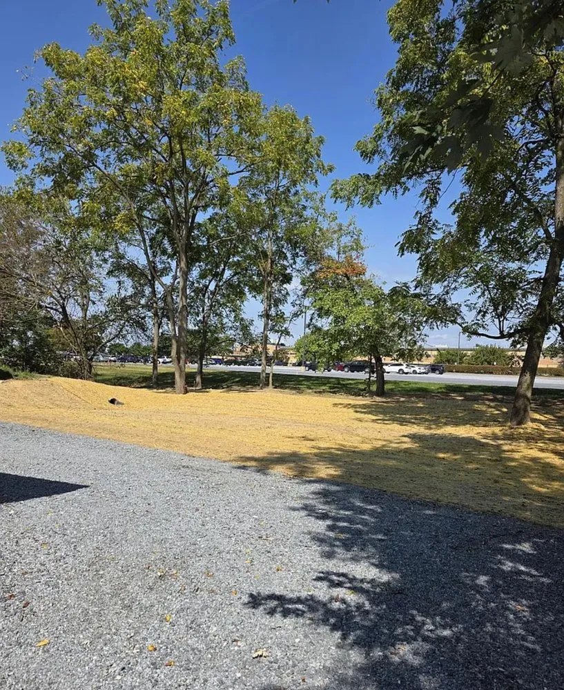 Affordable landscape installation near you across Newport, PA - Erly Property Services