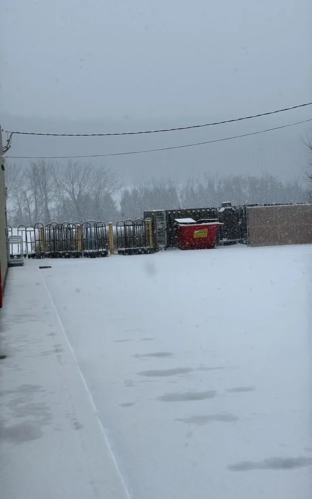 Top-rated landscape installation for outdoor upgrades in Newport, PA by Erly Property Services