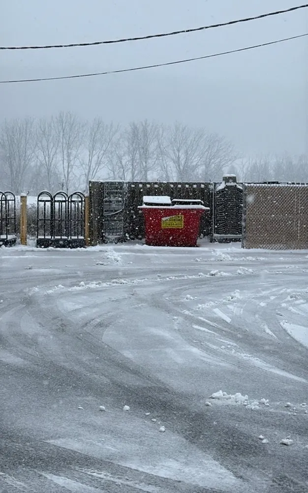 Affordable yard cleanup service experts serving Newport, PA - Erly Property Services