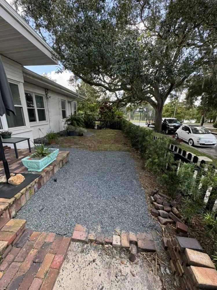 Affordable yard cleanup service in Orlando, FL - Erm Solutions