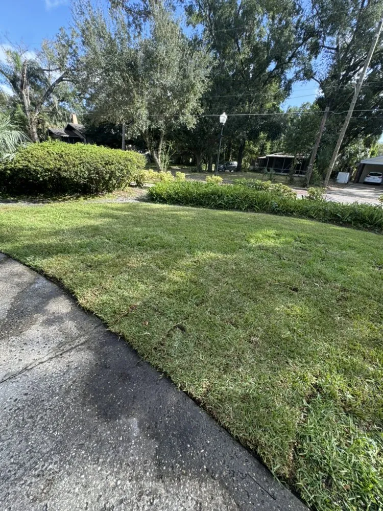 Local landscaping services with custom design in Orlando, FL by Erm Solutions