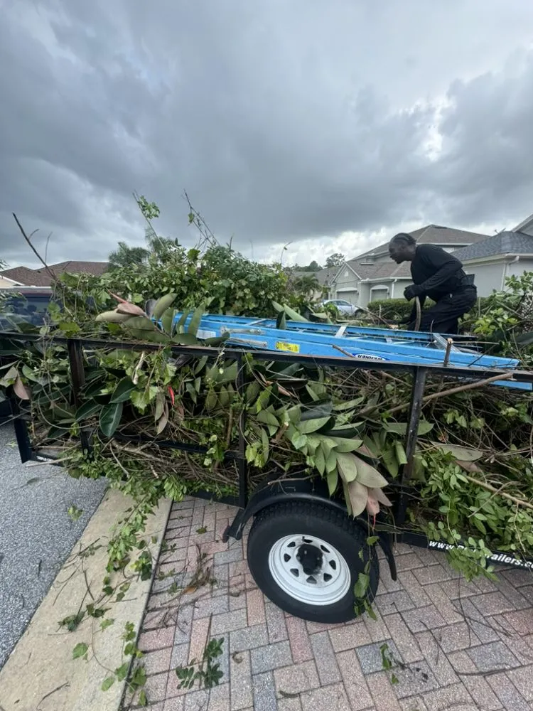 Reliable yard cleanup service in Orlando, FL by Erm Solutions