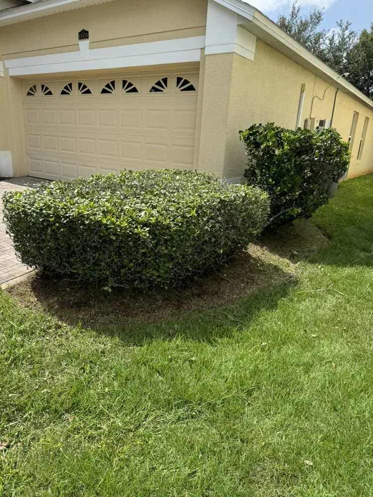 Local landscaping services in Orlando, FL by Erm Solutions