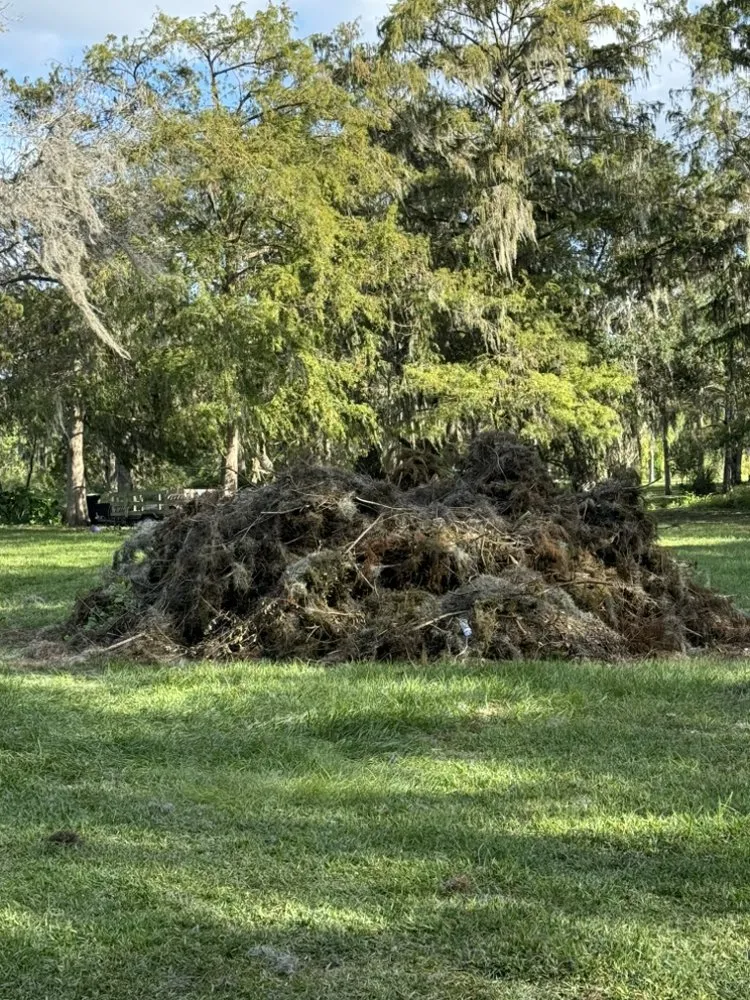 Professional outdoor landscaping near you across Orlando, FL - Erm Solutions