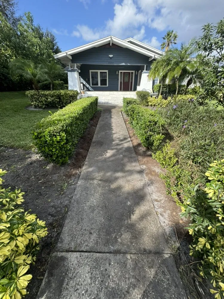 Local yard cleanup service experts serving Orlando, FL - Erm Solutions