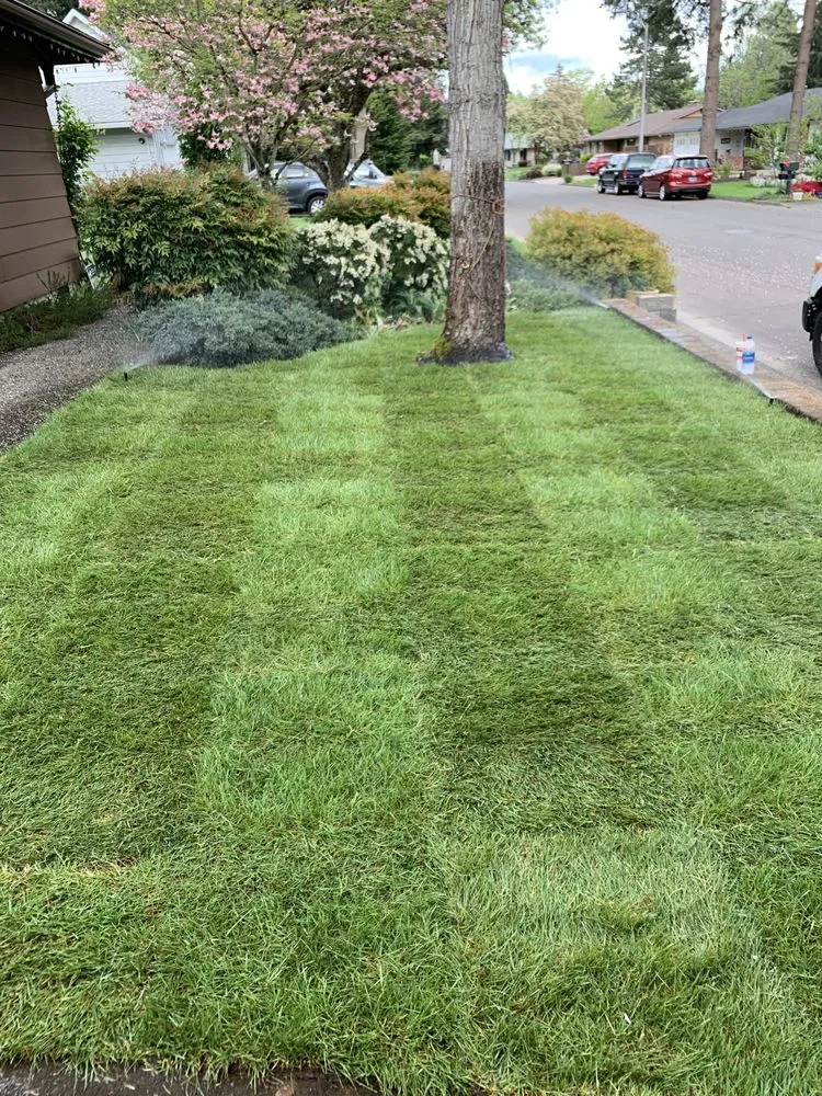 Affordable lawn care service experts serving Hillsboro, OR - Ernest Landscape