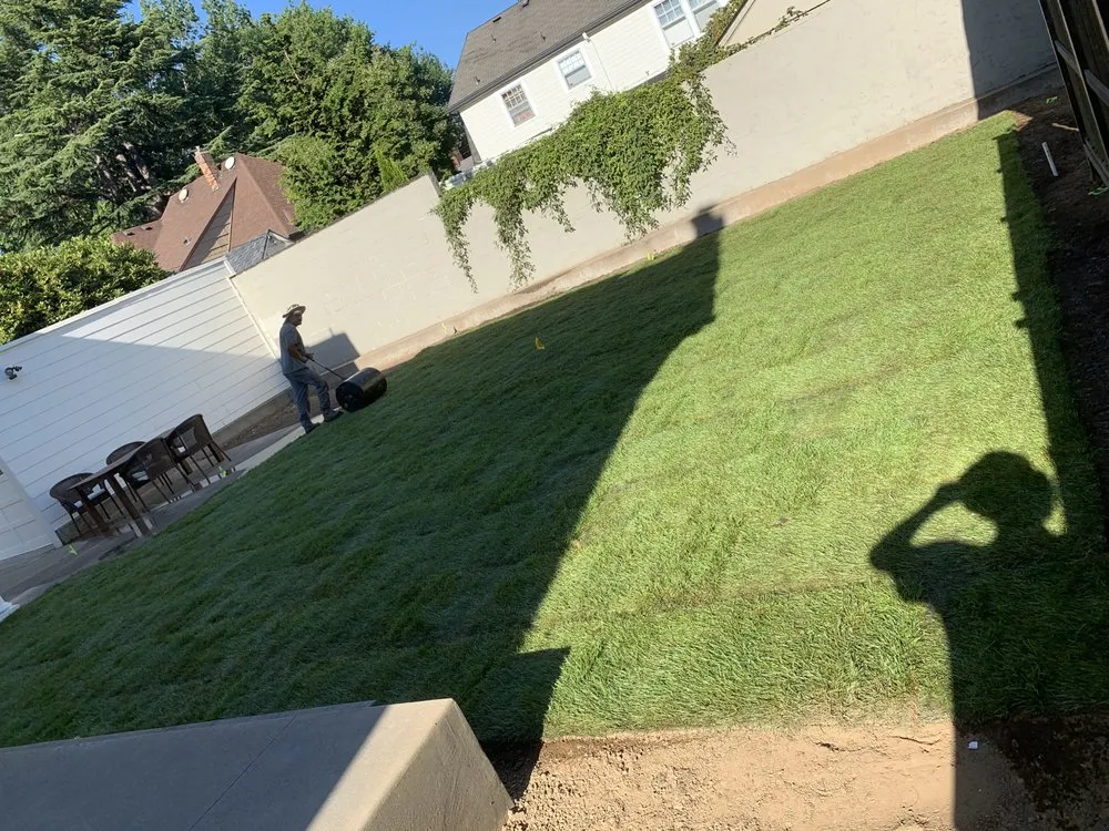 Reliable yard maintenance for year-round maintenance in Hillsboro, OR by Ernest Landscape