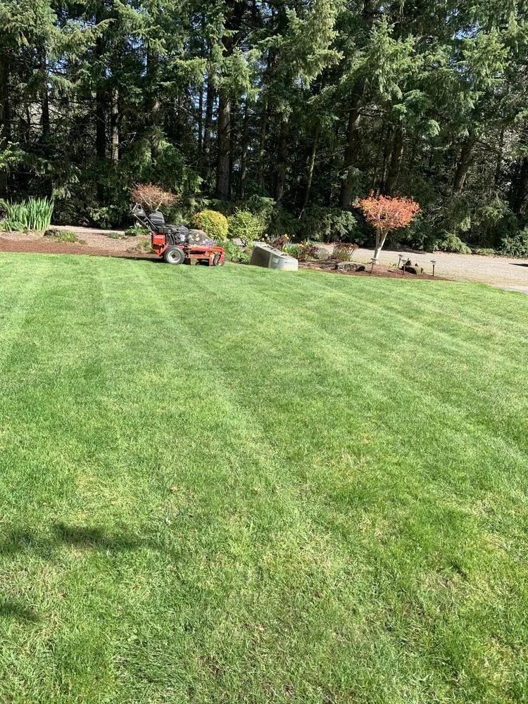 Trusted lawn care service in Hillsboro, OR by Ernest Landscape