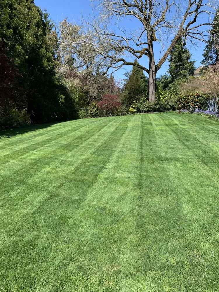 Top-rated lawn care service in Hillsboro, OR by Ernest Landscape