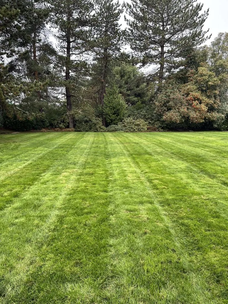 Custom lawn mowing service in Hillsboro, OR - Ernest Landscape