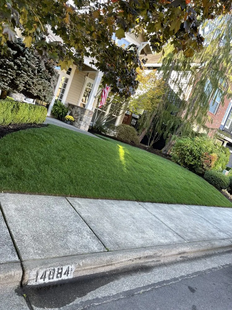 Professional yard cleanup service experts serving Hillsboro, OR - Ernest Landscape