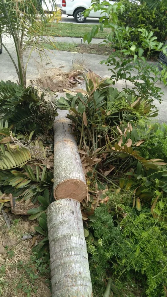 Local landscaping services for residential properties in Pompano Beach, FL by Ernest Property Maintenance Lawn and Landscape