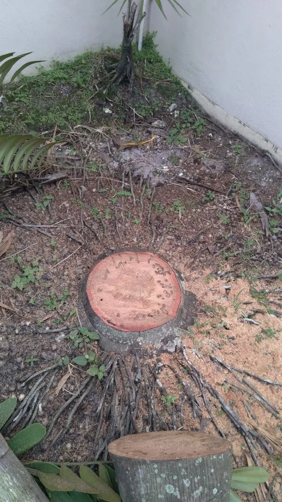 Trusted outdoor landscaping experts serving Pompano Beach, FL - Ernest Property Maintenance Lawn and Landscape