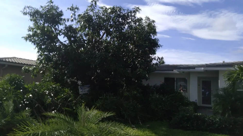 Expert yard maintenance in Pompano Beach, FL by Ernest Property Maintenance Lawn and Landscape