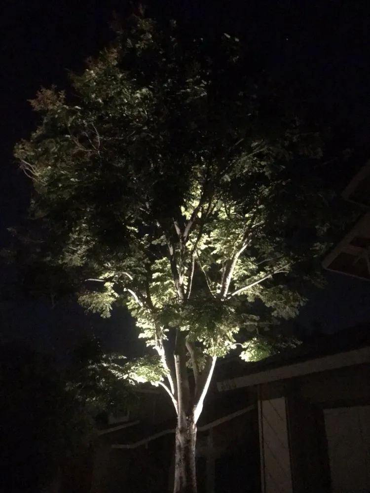 Reliable lawn care service in Encinitas, CA by Ernest Tree Service & Maintenance