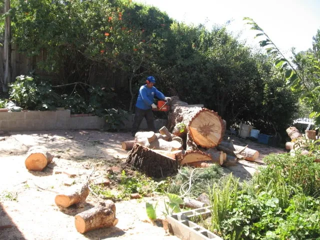 Reliable garden landscaping for residential properties in Encinitas, CA by Ernest Tree Service & Maintenance
