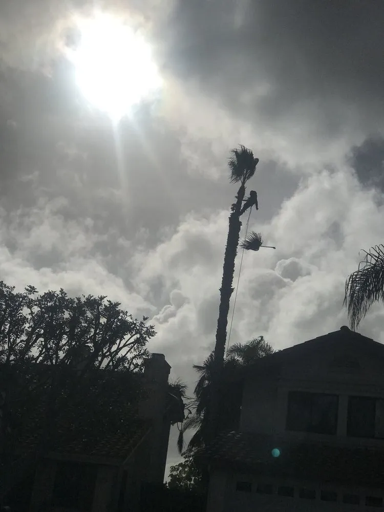 Professional garden landscaping experts serving Encinitas, CA - Ernest Tree Service & Maintenance