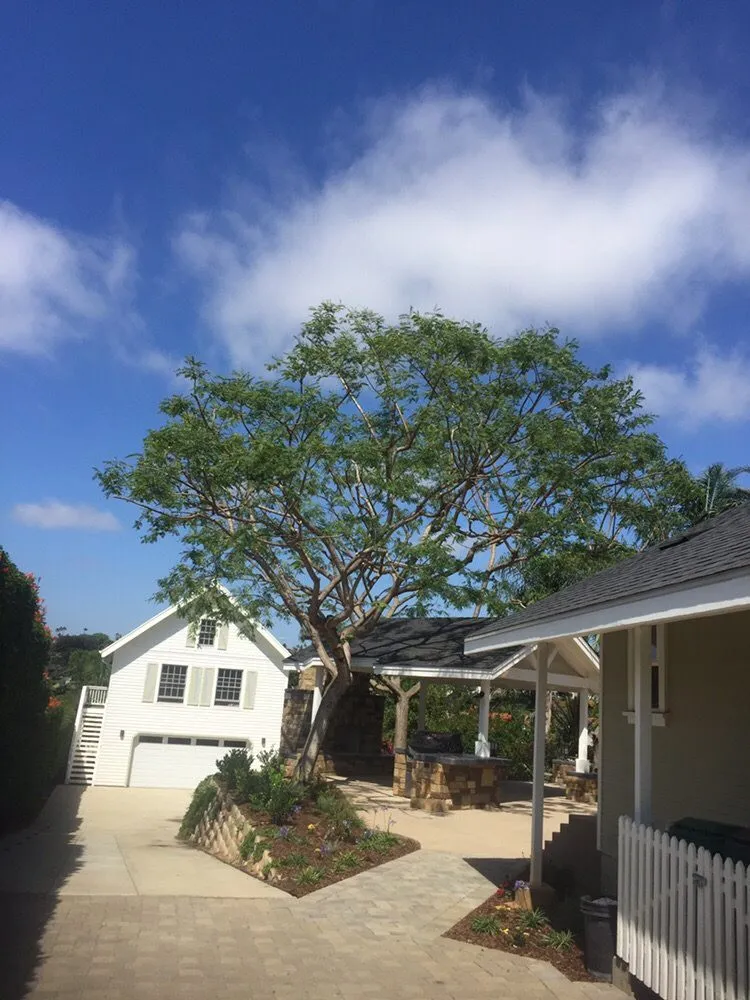Top-rated landscape design for homes across Encinitas, CA - Ernest Tree Service & Maintenance