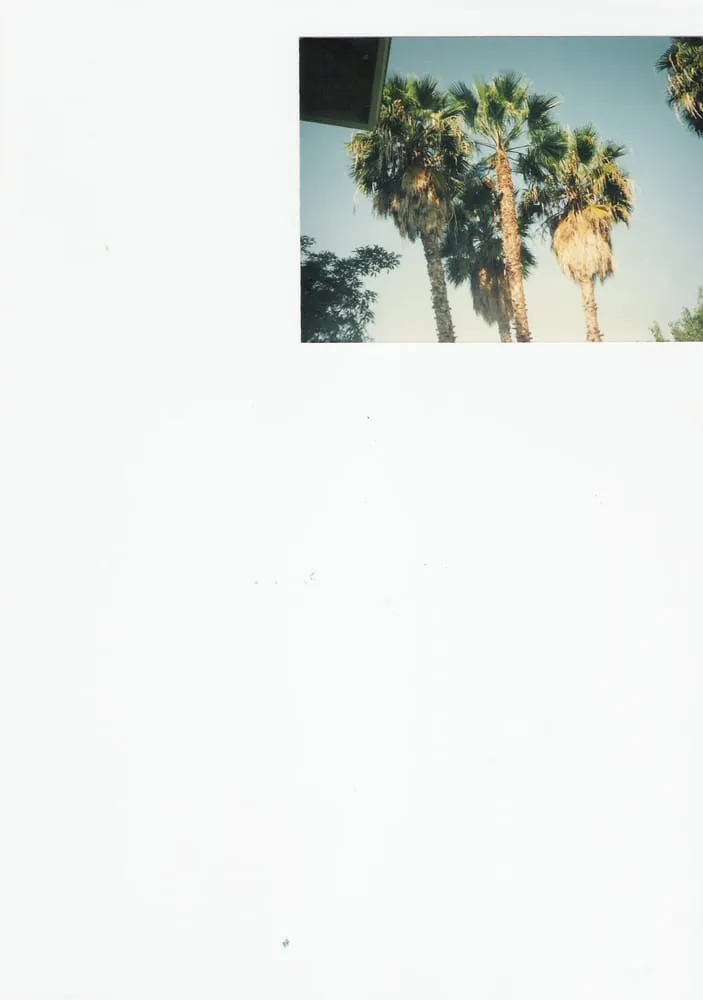 Professional residential landscaping experts serving Encinitas, CA - Ernest Tree Service & Maintenance