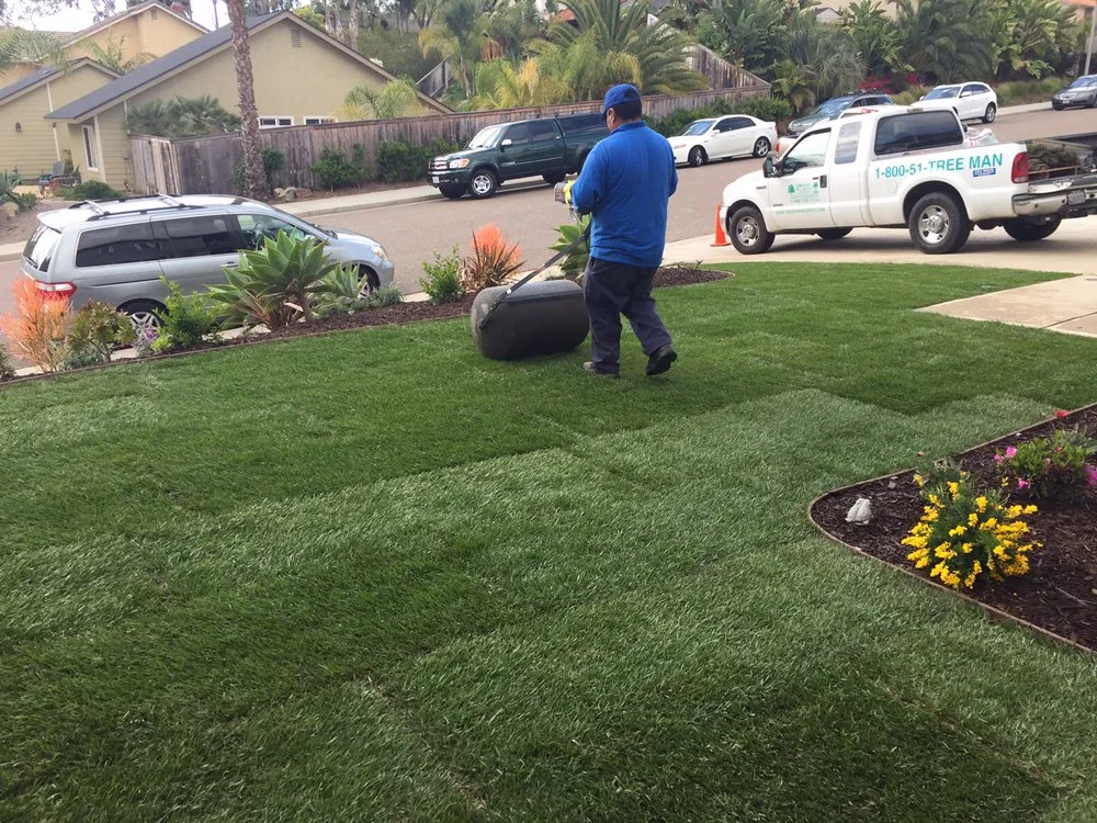 Top-rated lawn care service for residential properties in Encinitas, CA by Ernest Tree Service & Maintenance