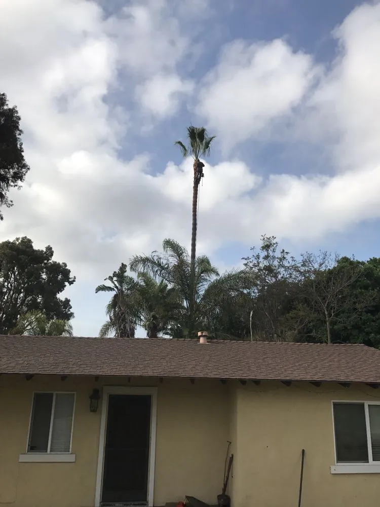 Trusted outdoor landscaping in Encinitas, CA by Ernest Tree Service & Maintenance