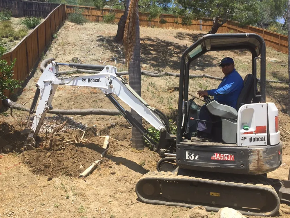 Trusted landscape installation for beautiful yards across Encinitas, CA - Ernest Tree Service & Maintenance