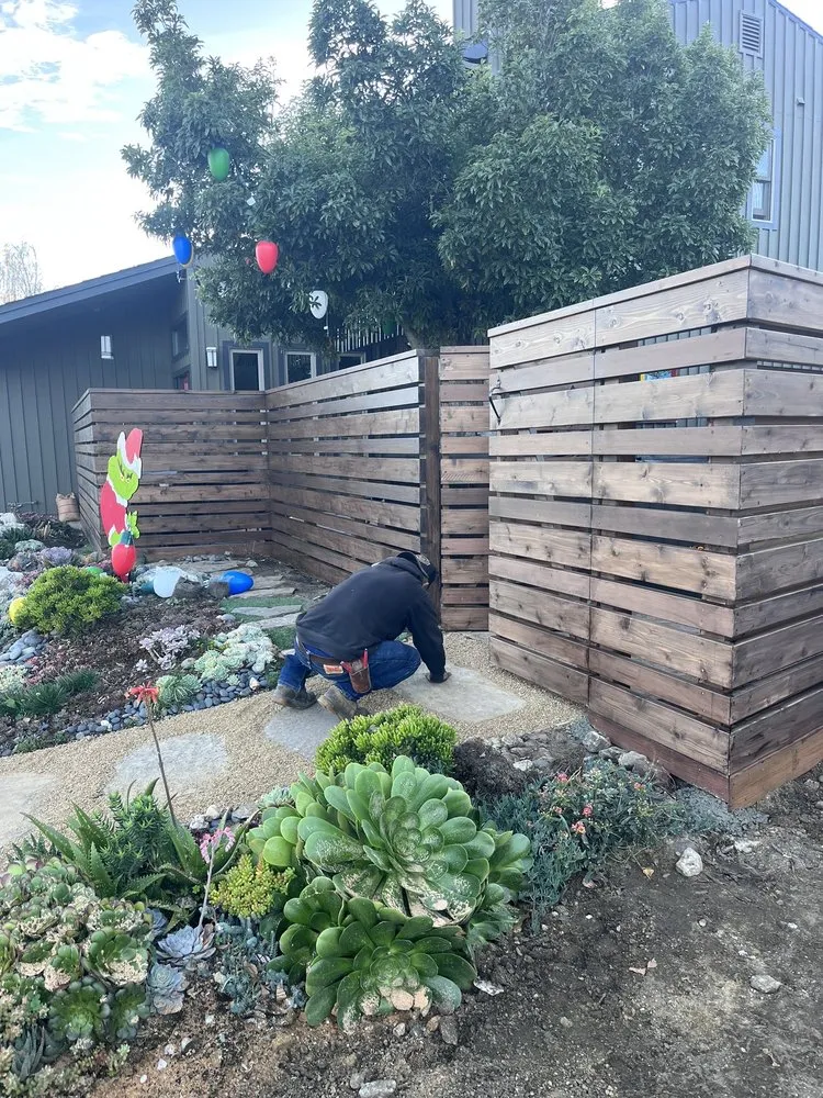 Affordable yard cleanup service for year-round maintenance across San Mateo, CA - Ernesto Avina