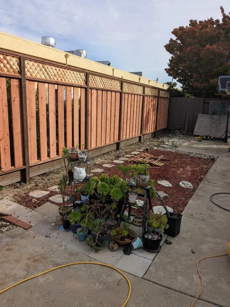 Local outdoor landscaping in San Mateo, CA by Ernesto Avina