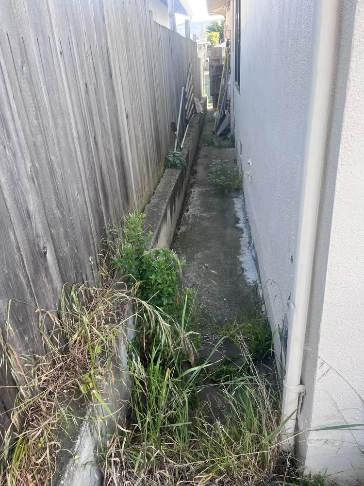 Reliable landscape design experts serving San Mateo, CA - Ernesto Avina