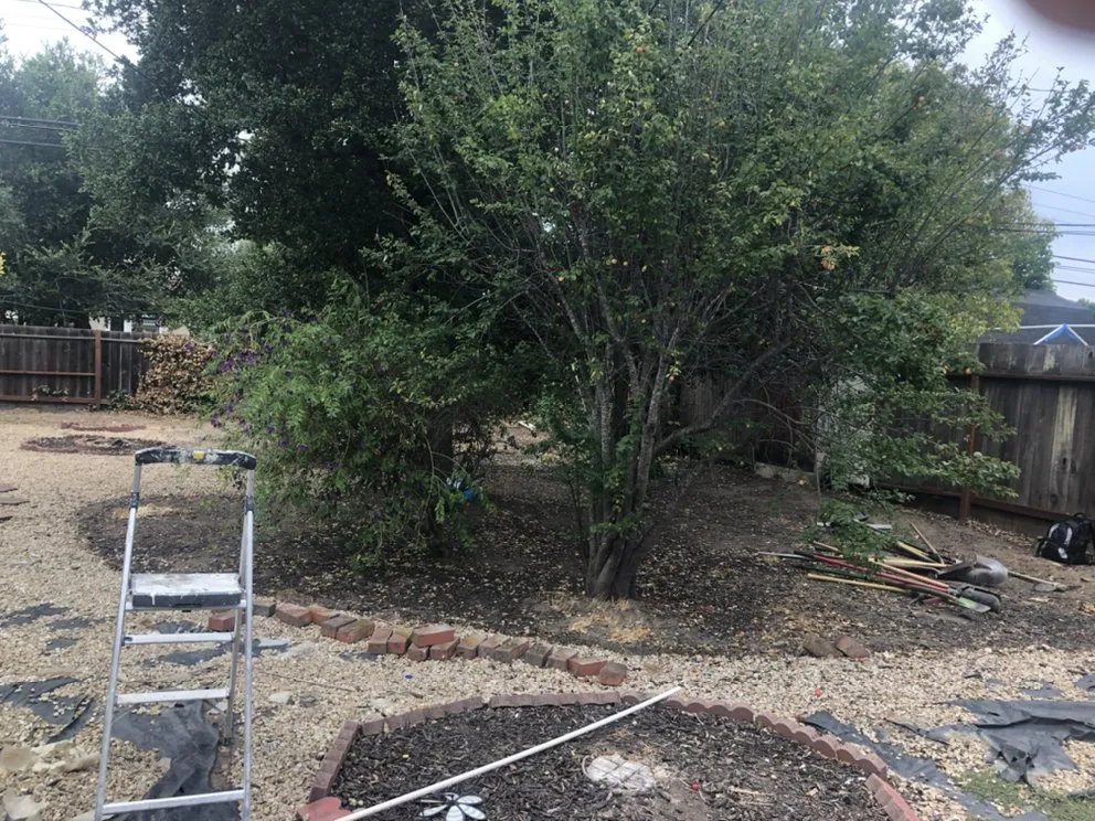 Affordable yard cleanup service in San Mateo, CA by Ernesto Avina