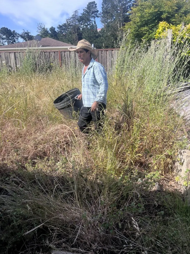 Professional yard cleanup service experts serving San Mateo, CA - Ernesto Avina