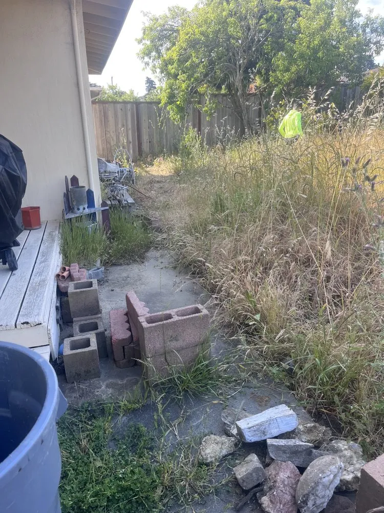 Affordable yard maintenance for outdoor upgrades in San Mateo, CA by Ernesto Avina