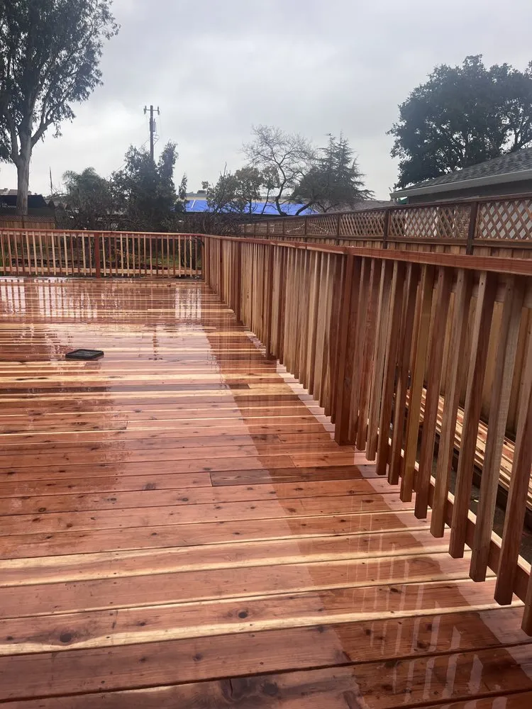 Expert yard cleanup service for homes across San Mateo, CA - Ernesto Avina