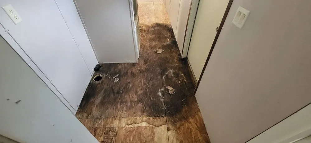 Reliable outdoor landscaping for outdoor upgrades across Diboll, TX - Ernesto Guzman Handyman Services