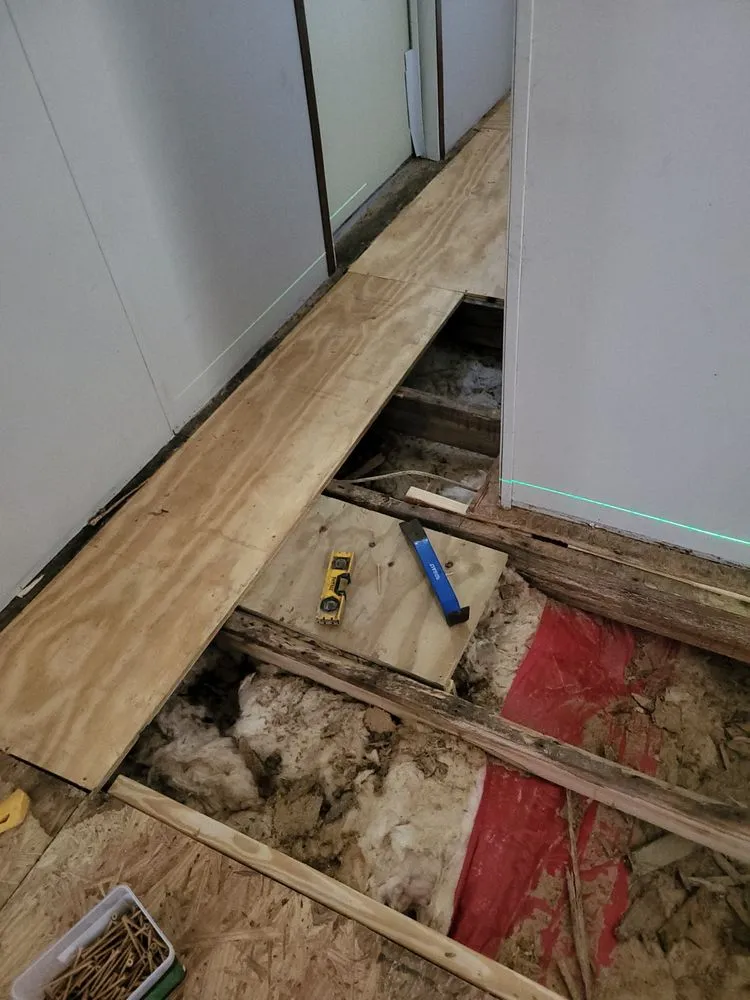 Expert lawn care service in Diboll, TX - Ernesto Guzman Handyman Services